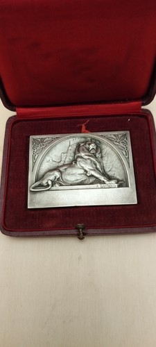 Médaille bronze argenté - en,