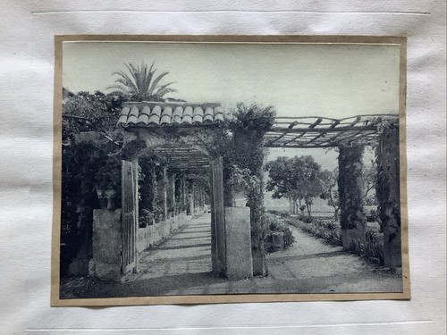 Photo ancienne art - photo,