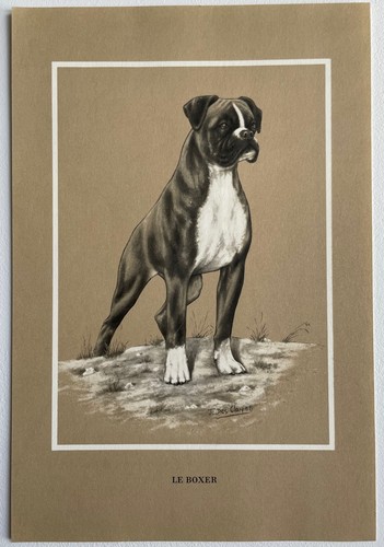 Chiens race boxer par - chiens, de