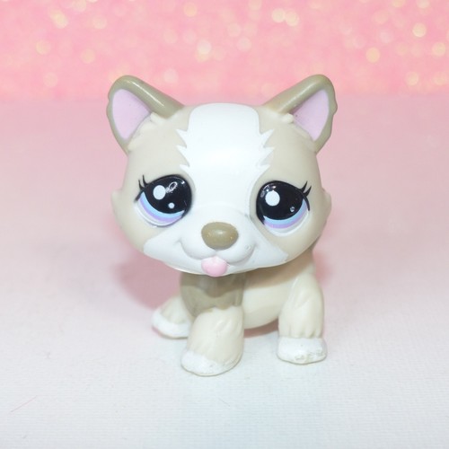 Authentic lps littlest petshop - authentic,