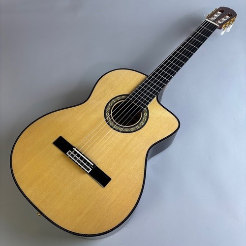 Takamine dmp370nc acoustic - takamine,
