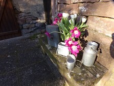 Ancien bidon à lait,bouillotte,pots,décoration,jardin,zinc