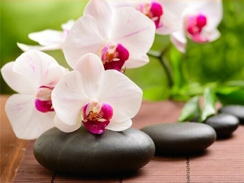 Toile tableaux zen bien - ,