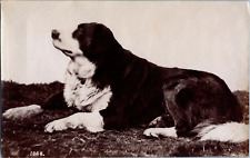 Saint Bernard Vintage print, ca.1880 Tirage vintage tirage d'époque  9,