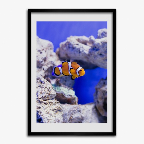 Photo 50x70cm mdf cadre - photo, le