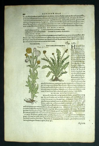 Gravure estampe ancienne