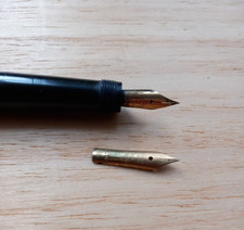 STYLO PLUME " GOLD STARRY N°