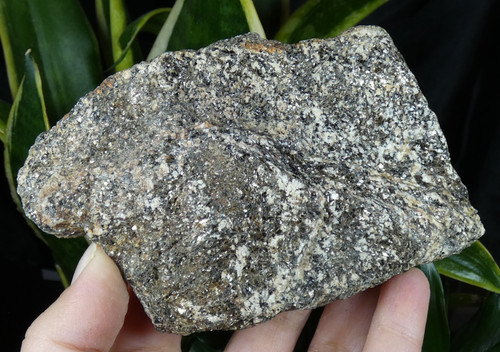 Galet gneiss biotite - galet,