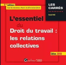 L ESSENTIEL DU DROIT DU