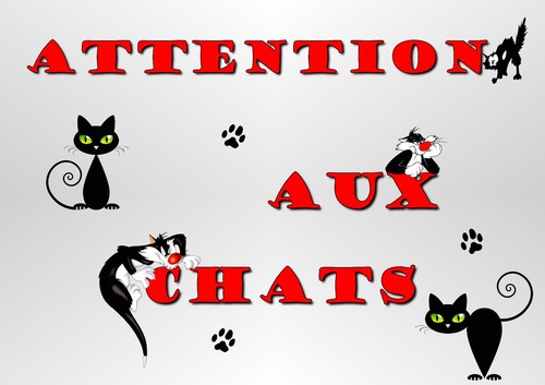 Plaque attention chat en - chat,