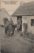 Exposition coloniale, le poney shetland écossais, Londres, 1909 Carte postale - 