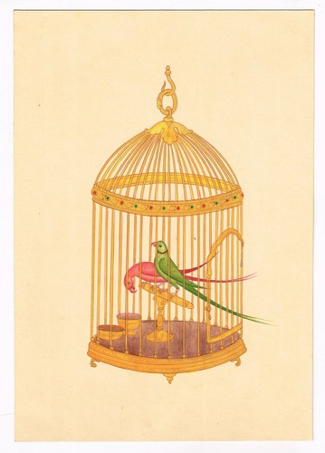 Oiseaux peinture beau - oiseaux,