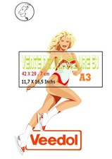 Pin up Veedol - horoscope  Lion - Poster A3 Plastifié