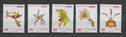 Pérou fleurs orchidées