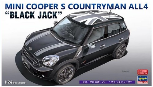 Mini cooper countryman - mini,