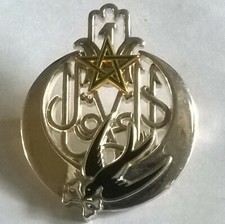 1° Régiment de Tirailleurs