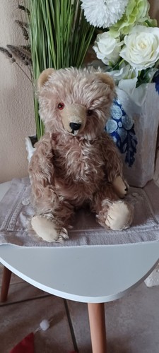 Ours charles ancien - ours,