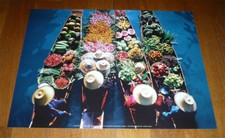 Poster Affiche THAILANDE Marché aux Fleurs de Bavaria - 40 cm x 30 cm - NEUF