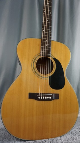 Westone japan acoustic - f-13,