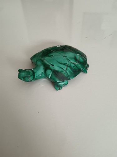 Tortue malachite - en,