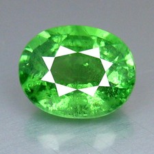 1,23 CTS PIERRE PRÉCIEUSE GRENAT TSAVORITE OVALE VERT TANZANIE 100 %...