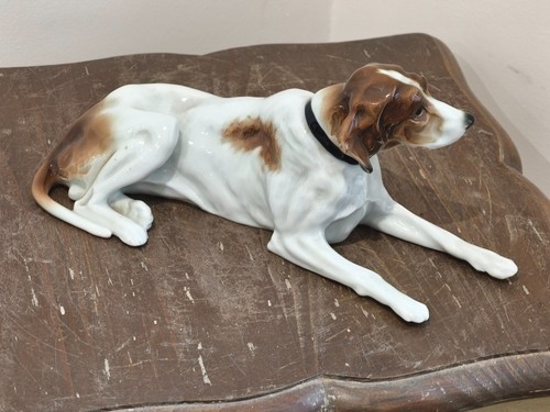 Tres joli pointer chien - tres,