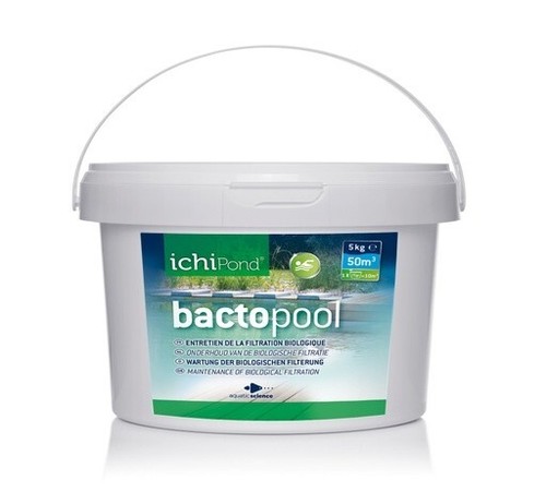 Bactéries bactopool pour - bactopool, 5