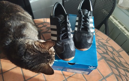 Baskets homme adidas country - baskets,