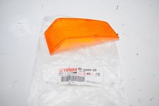 Cabochon de clignotant AVD