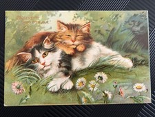 CPA Carte Postale Postcard