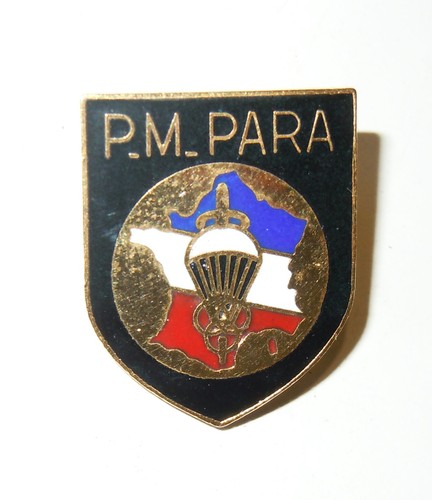 Insigne miniature type pins - insigne,