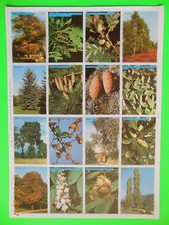 3 PLANCHES ANCIENNES IMAGES