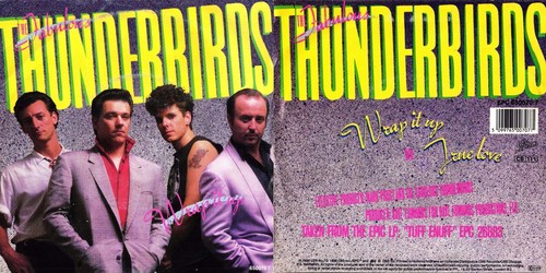 Disque tours the fabulous - disque,