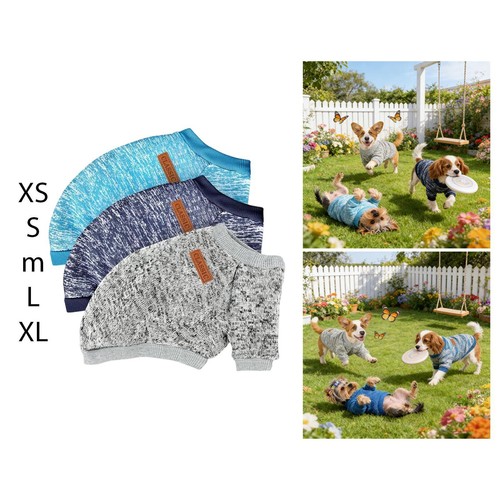 Lot pulls pour chien - pour,