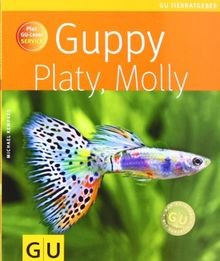 Guppy platy molly plus - guppy,, platy,