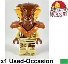 Lego Figurine Minifig Ninjago
