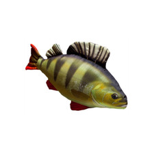 COUSSIN PELUCHE POISSON PERCHE 50 CM Alciumpeche