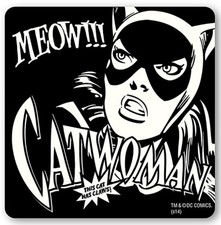 Déguisement Catwoman (Batman)
