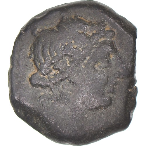 Bronze taureau 121 49 - bronze, au