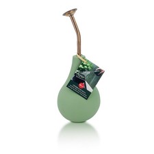 Poire arrosage - poire, d'arrosage