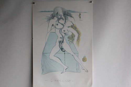 Salvador dali lithographie - dali,