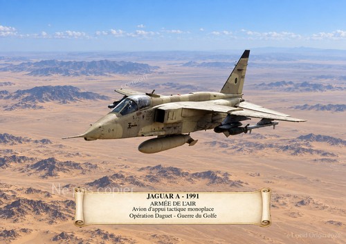 Sepecat jaguar avion - jaguar,