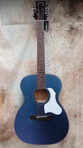 Guitare acoustique électrique
