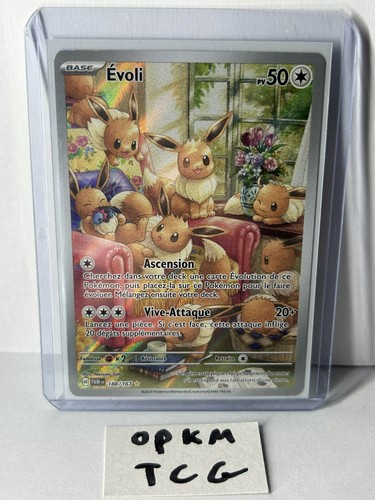 Carte pokémon évoli - carte,