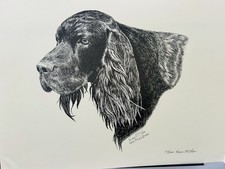 Gordon Setter Limited Edition