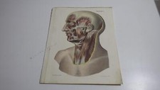 1850.lithographie couleur