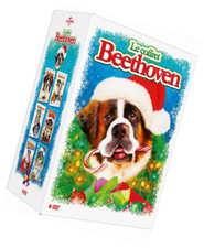 DVD Neuf - Le Coffret
