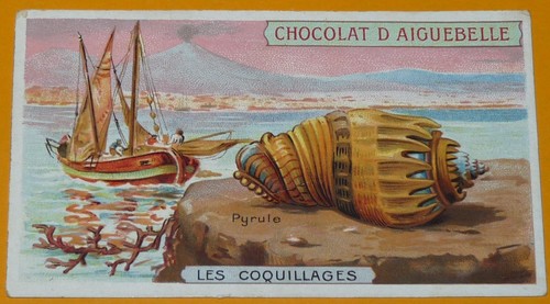 Chromo 1910 1930 chocolat - 1910-1930,