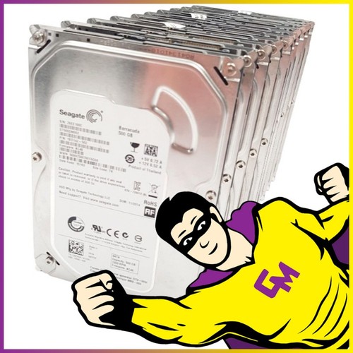 Lot x10 disque dur - x10, 500go
