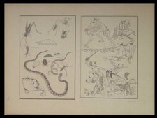 HOKUSAI MANGA - 1910 - JAPON, ESTAMPE